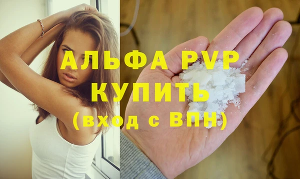 ECSTASY Богданович