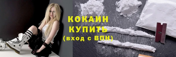 mdpv Богородск
