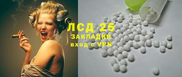 ECSTASY Богданович