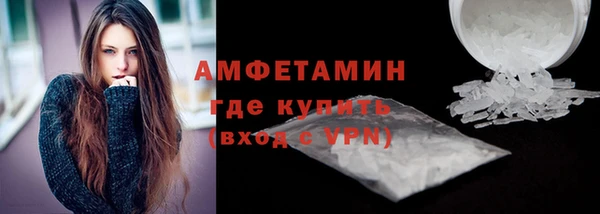 ECSTASY Богданович