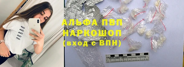 ECSTASY Богданович