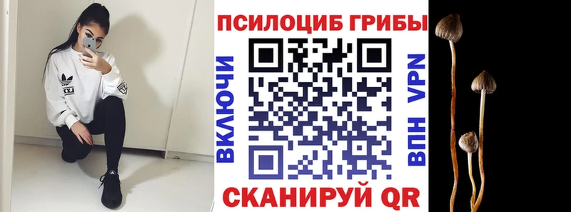 блэк спрут как зайти  Болотное  Галлюциногенные грибы Magic Shrooms 